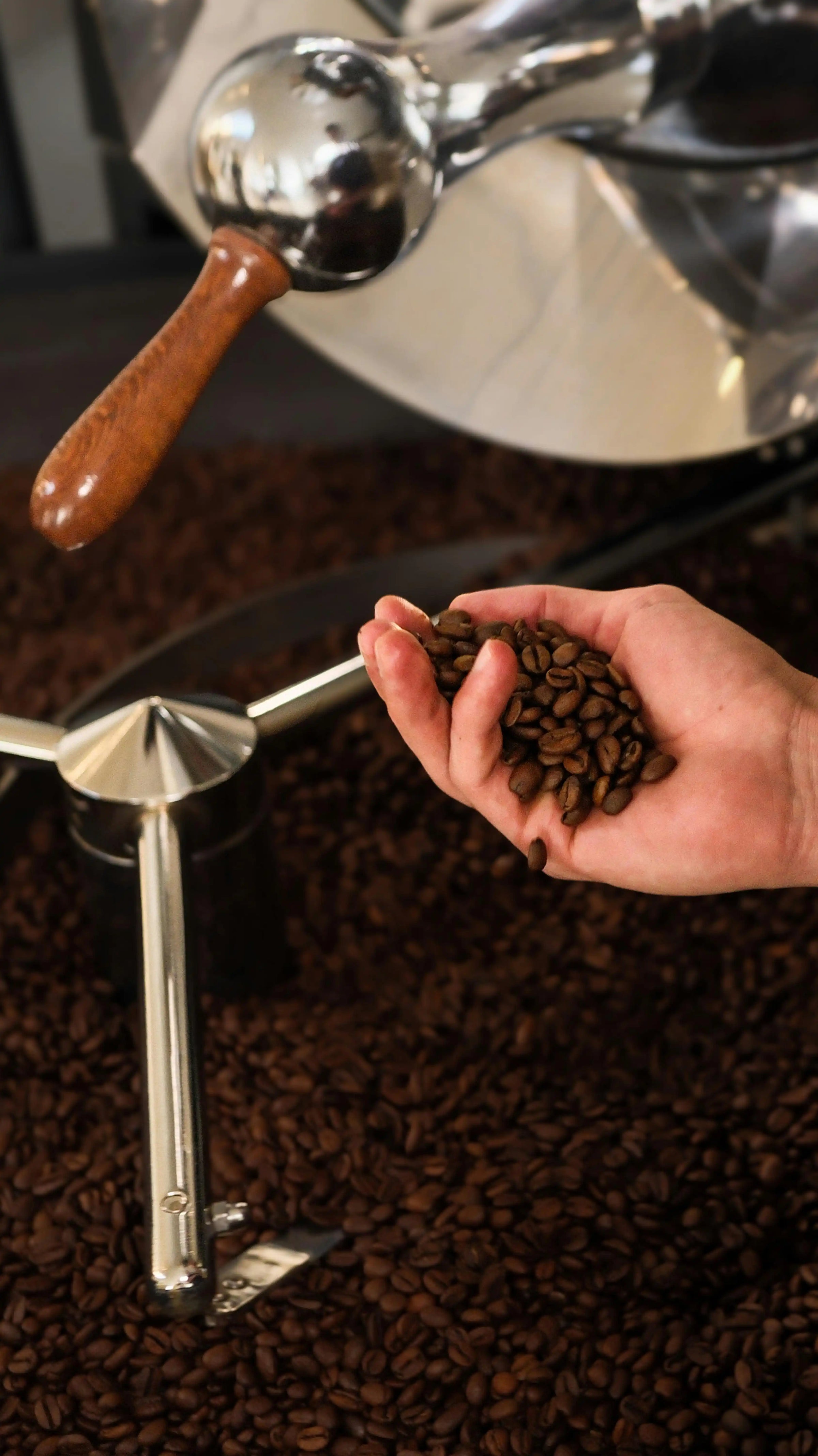How Long After Roasting Is Coffee Best? The Freshness Window Explained