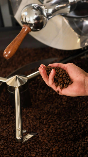 How Long After Roasting Is Coffee Best? The Freshness Window Explained