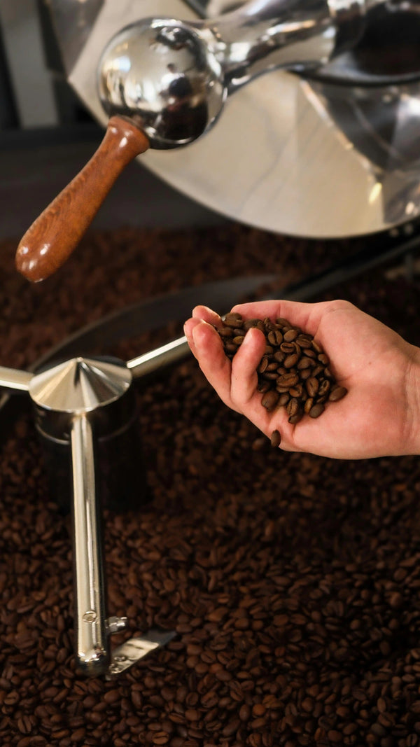 How Long After Roasting Is Coffee Best? The Freshness Window Explained