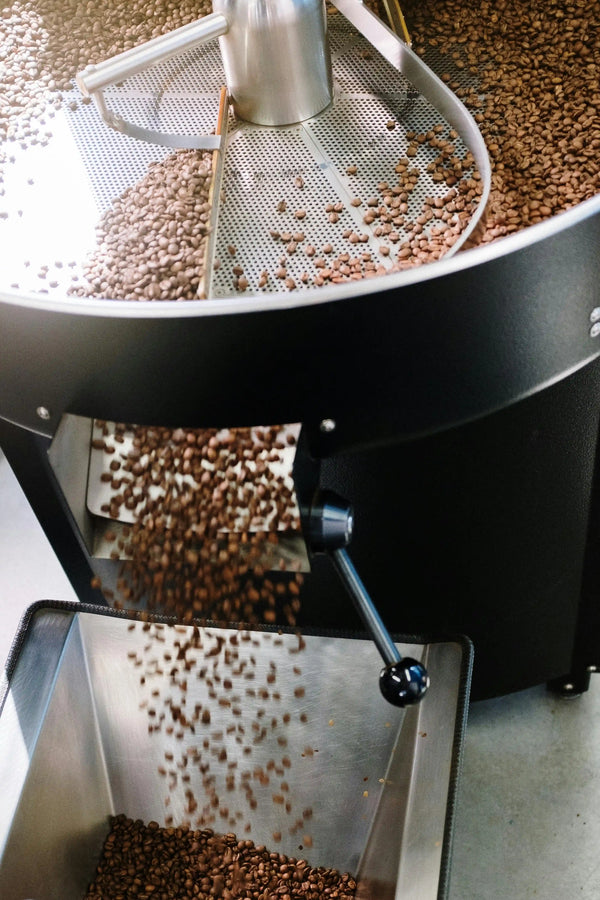 Why Fresh Roasted Coffee Makes Such a Big Difference in Taste