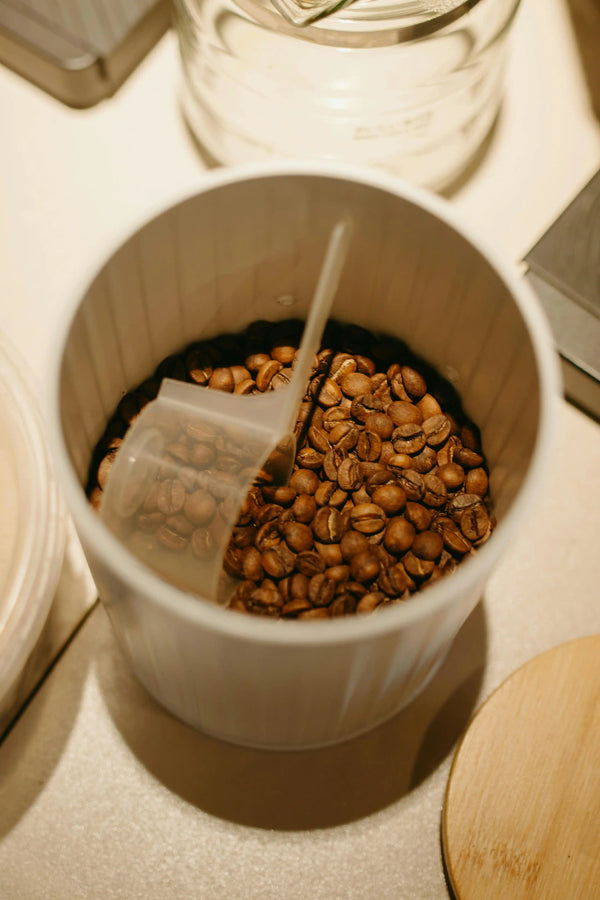 How to Store Coffee Beans to Keep Them Fresh for Weeks