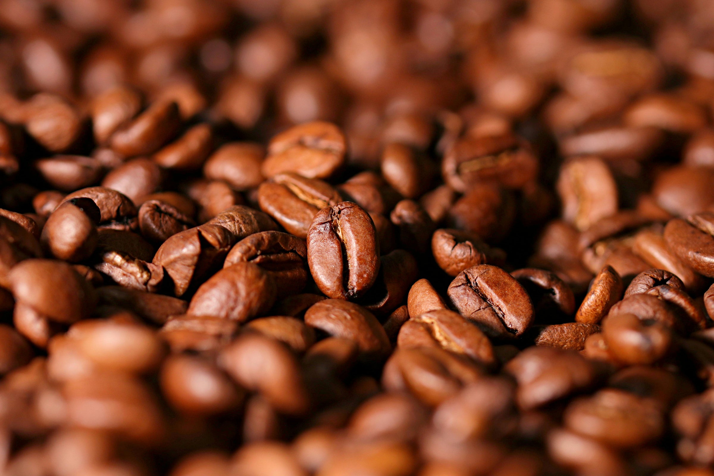 Why Are Espresso Beans Oily? Understanding Roast and Freshness